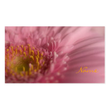 Pink Gerbera • Profilecard Business Card
