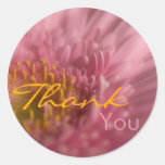Pink Gerbera • Thank You Sticker