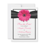 Pink Gerbera with Black Ribbon Save the Date Card invitations