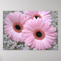 Pink Gerberas Print