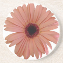 pink gerebra beverage coaster