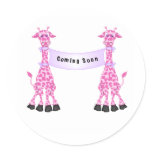 Pink Giraffes Coming Soon stickers