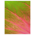 pink green leaf flyers