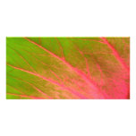 pink green leaf photo cards