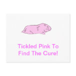 Pink Guinea Pig Postcards
