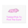 Pink Guinea Pig Postcards