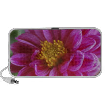 Pink Heart Dahlia iPod Speaker