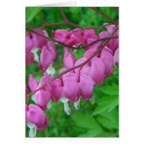 pink hearts greeting card