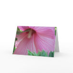 Pink Hibiscus Greeting Card