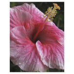 Pink Hibiscus Flower Flyer Design