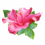 Pink Hibiscus Photo Sculpture Pin photo sculptures