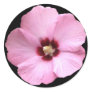 Pink Hibiscus Sticker