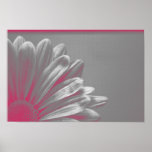 Pink Highlighted Flower Posters