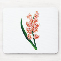 Pink Hyacinth by Pierre Joseph Redoute Mousepads