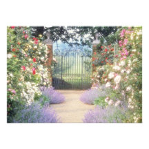 Pink Hybrid Rose-Lined Path To Gate, Underplanted Custom Invite