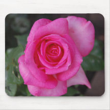 Pink Hybrid Tea Rose Mousepad