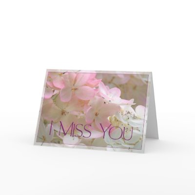 Pink Hydrangea - I Miss You Cards