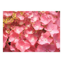 Pink hydrangea personalized invitation