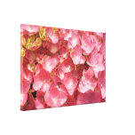 Pink hydrangea stretched canvas print