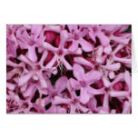 Pink Hydrangeas Greeting Card