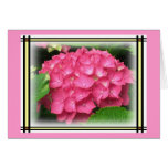 Pink Hydrangeas Card