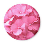 Pink Hydrangeas Magnet