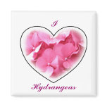 Pink Hydrangeas Magnet