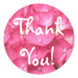 Pink Hydrangeas Sticker
