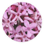 Pink Hydrangeas Round Sticker