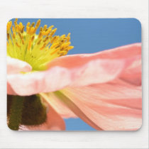 Pink Iceland Poppy and Sky Mouse Pads