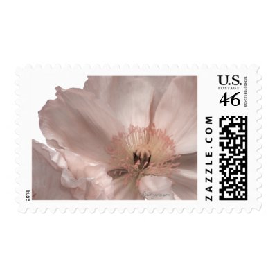 Pink Iceland Poppy Wedding Postage by naturalilly