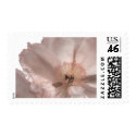Pink Iceland Poppy Wedding Postage postage