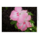 Pink Impatiens Flower Card