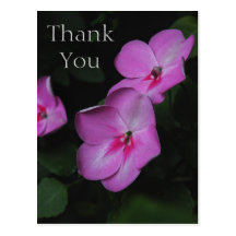 Pink Impatiens Thank You Postcard