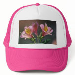 Pink Inca Lily flowers and meaning hats