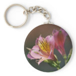 Pink Inca Lily flowers and meaning keychains
