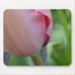 Pink Inspiration Mouse Pad