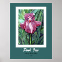 Pink Iris Print