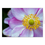Pink "Japanese Anemone" Greeting Cards