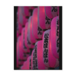 Pink Japanese Lanterns postcards