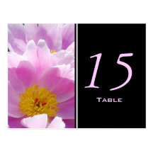 Pink Japanese Peony Table Number Postcard