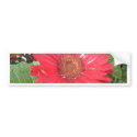 pink lady 2 bumper stickers