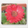 pink lady 2 mouse pad