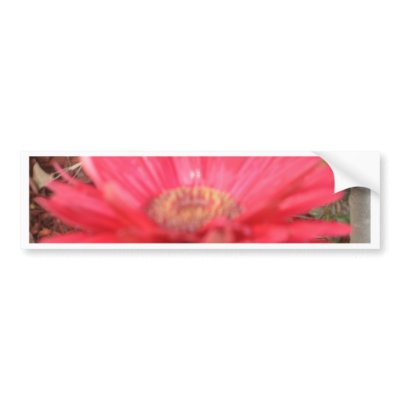 pink lady 3 bumper stickers by camobabygifts