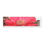 pink lady 3 bumper stickers