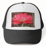 pink lady 3 hats