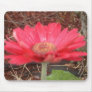 pink lady 3 mouse mats