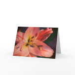 Pink Lady Card