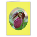 Pink Lady Slipper Flower Photo Blank Note Card