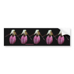 Pink Lady Slipper Flower Photo Bumper Sticker bumper stickers